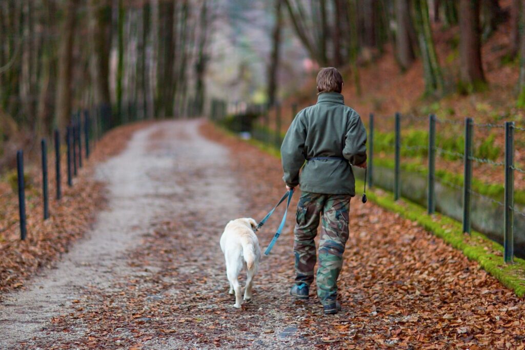 Understanding Physiological Calming: A Simple Guide